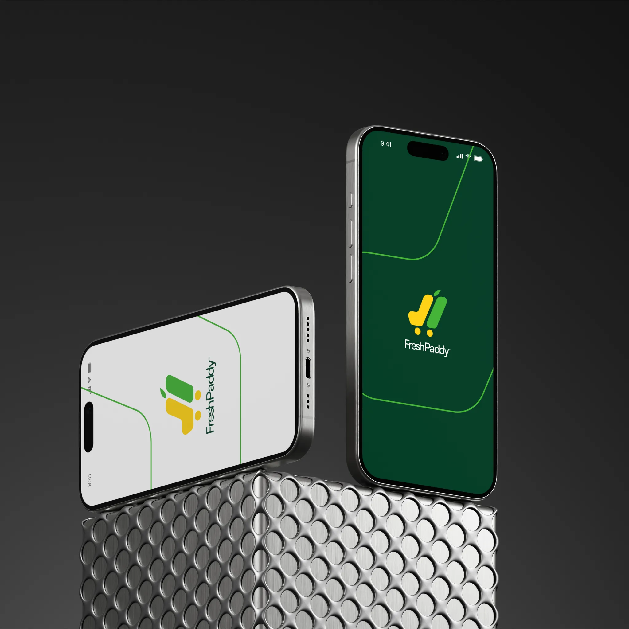 Empowering Career-Oriented Women with Accessible Nutrition- Freshpaddy by Nuel Ritz